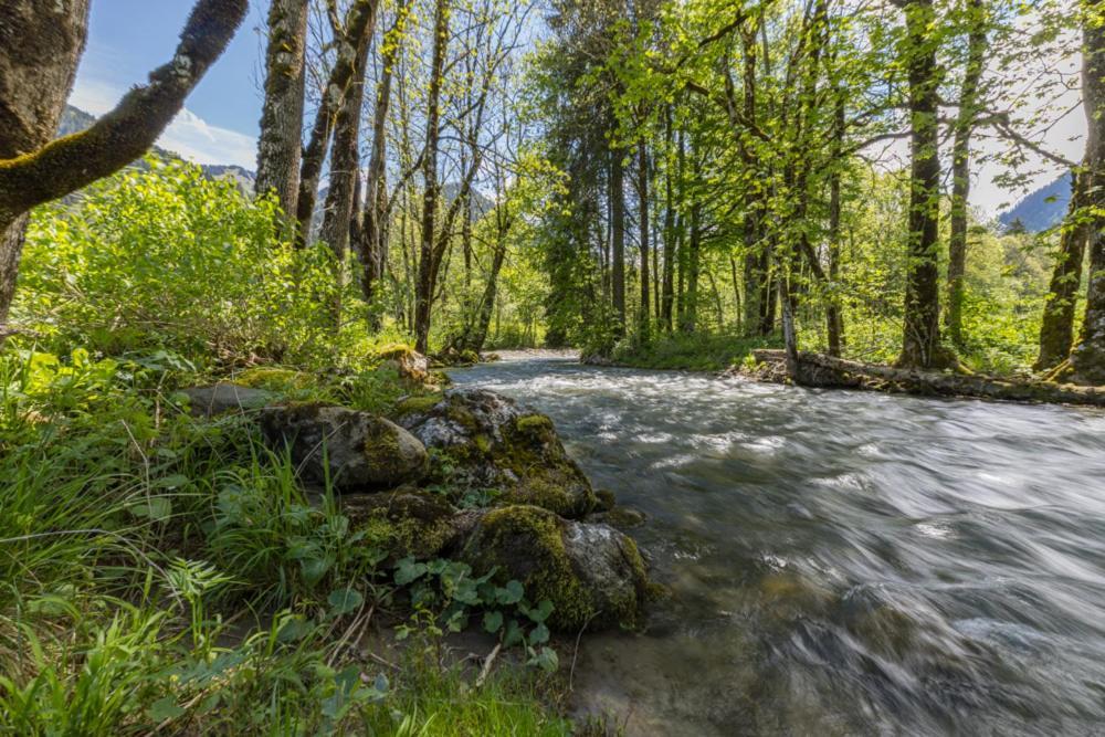 Les Erines * Chatel