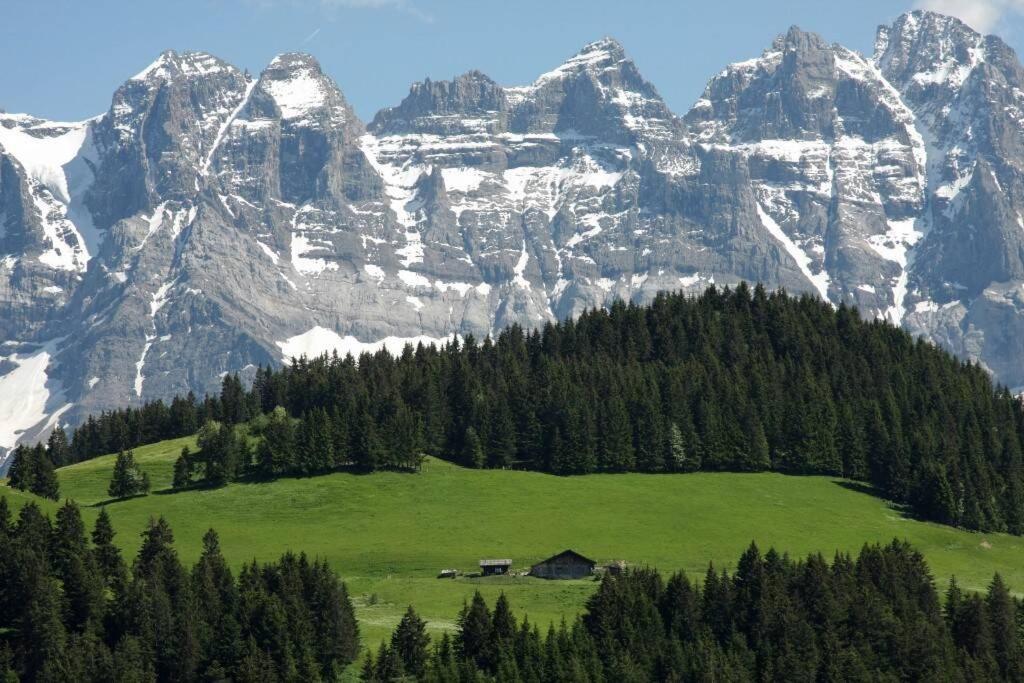 Les Erines Chalet