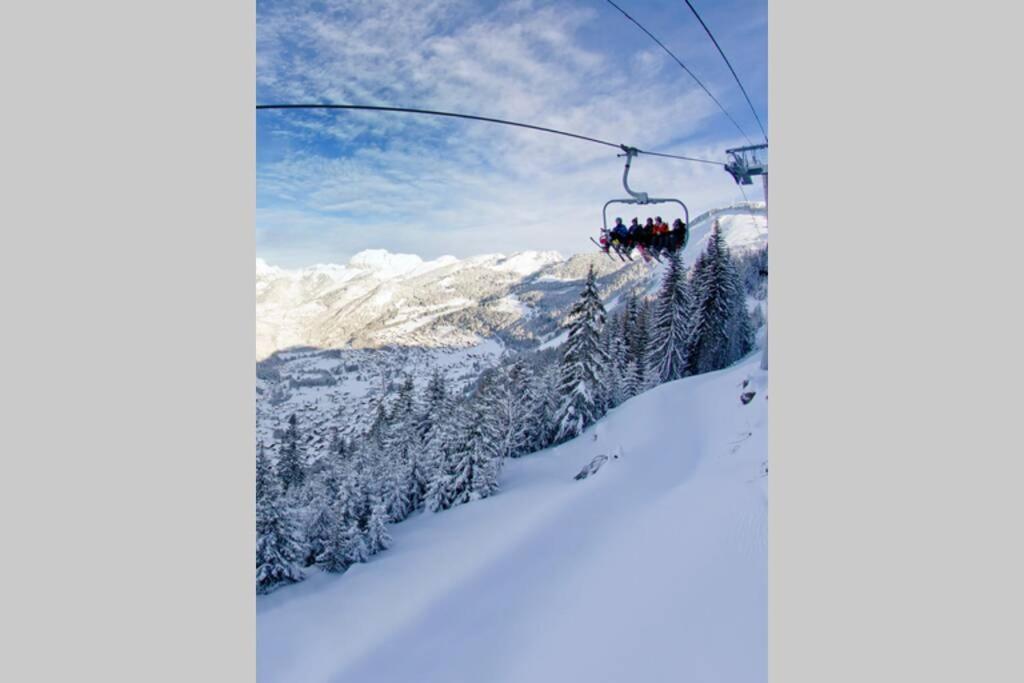 Les Erines * Chatel